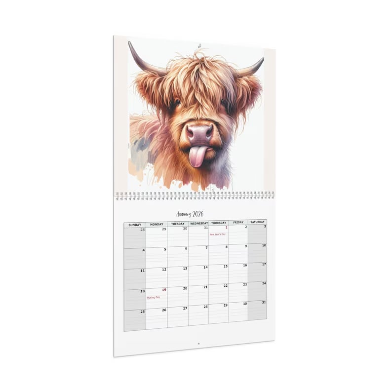 Highland Cow Calendar 2026