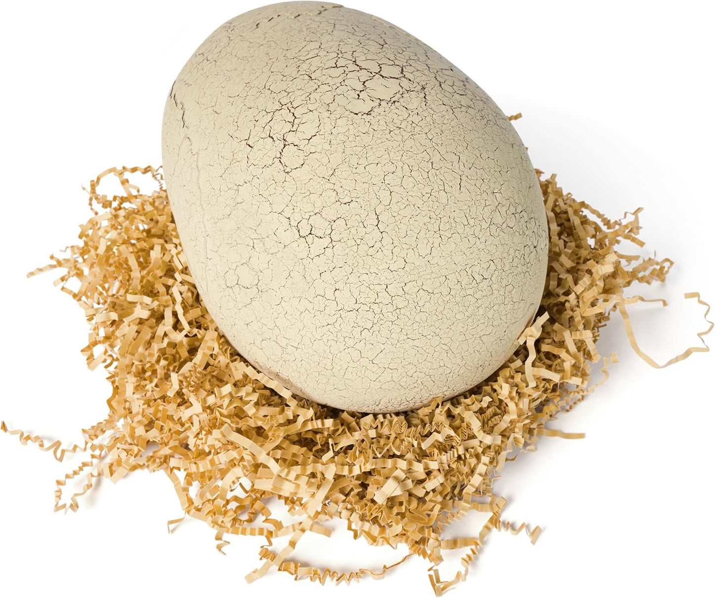 Jurassic World Dinosaur Egg: Hatch and Train Your Baby Dino
